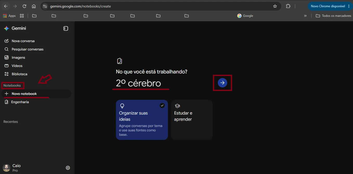 Gemini — passo 1: criar o notebook